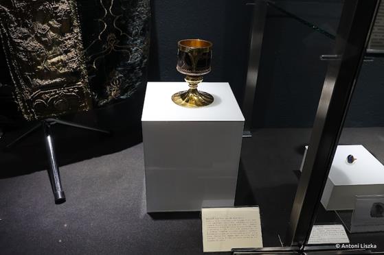 Pielgrzymka Jubileuszowa Gniezno_Poznań 20250043.jpg