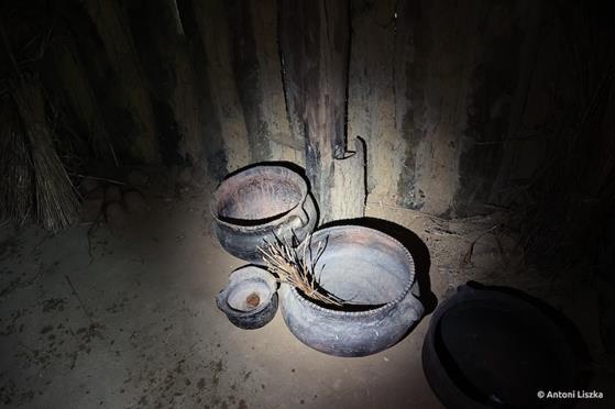 Pielgrzymka Jubileuszowa Gniezno_Poznań 20250008.jpg