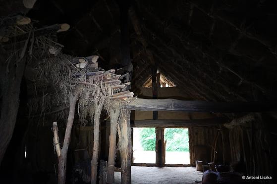 Pielgrzymka Jubileuszowa Gniezno_Poznań 20250011.jpg