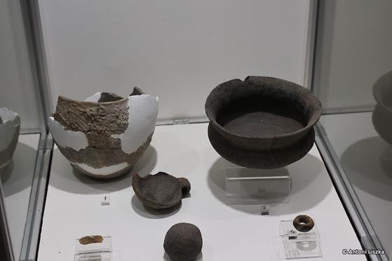 Pielgrzymka Jubileuszowa Gniezno_Poznań 20250014.jpg