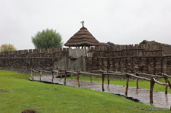 Pielgrzymka Jubileuszowa Gniezno_Poznań 20250016.jpg