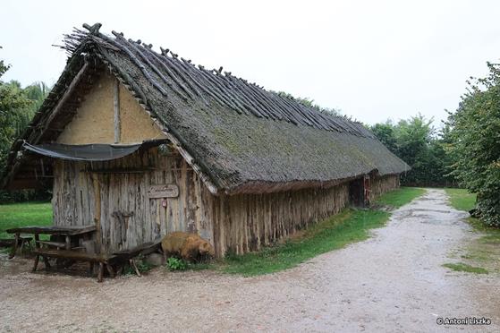 Pielgrzymka Jubileuszowa Gniezno_Poznań 20250007.jpg