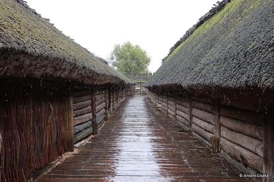 Pielgrzymka Jubileuszowa Gniezno_Poznań 20250023.jpg