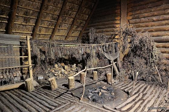 Pielgrzymka Jubileuszowa Gniezno_Poznań 20250025.jpg