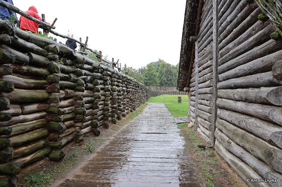 Pielgrzymka Jubileuszowa Gniezno_Poznań 20250026.jpg