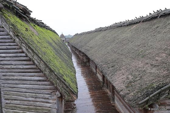 Pielgrzymka Jubileuszowa Gniezno_Poznań 20250027.jpg
