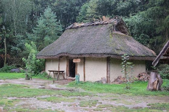 Pielgrzymka Jubileuszowa Gniezno_Poznań 20250030.jpg