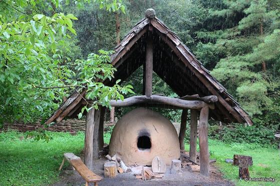 Pielgrzymka Jubileuszowa Gniezno_Poznań 20250031.jpg