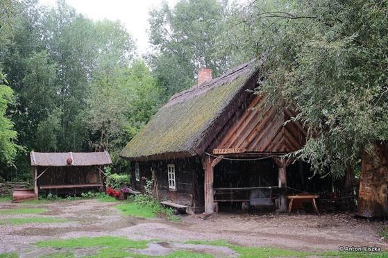 Pielgrzymka Jubileuszowa Gniezno_Poznań 20250034.jpg
