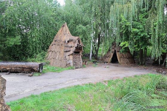 Pielgrzymka Jubileuszowa Gniezno_Poznań 20250005.jpg