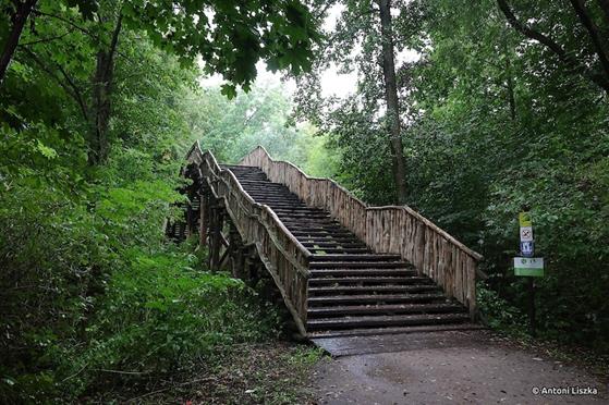 Pielgrzymka Jubileuszowa Gniezno_Poznań 20250004.jpg