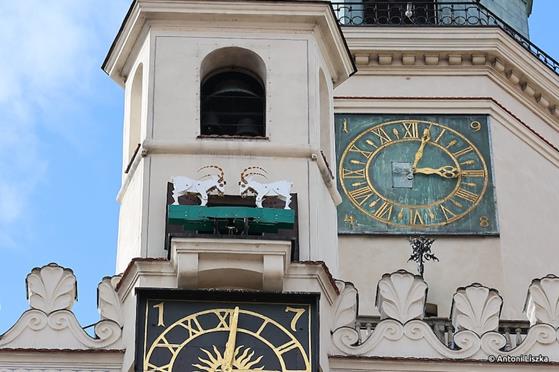 Pielgrzymka Jubileuszowa Gniezno_Poznań 20250164.jpg