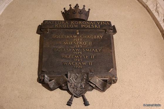 Pielgrzymka Jubileuszowa Gniezno_Poznań 20250054.jpg