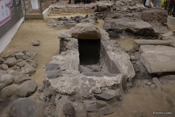 Pielgrzymka Jubileuszowa Gniezno_Poznań 20250059.jpg