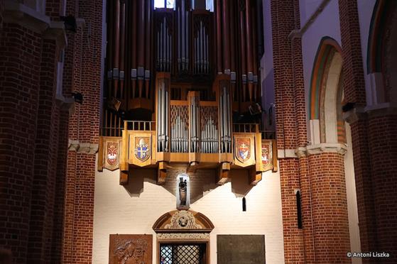 Pielgrzymka Jubileuszowa Gniezno_Poznań 20250064.jpg