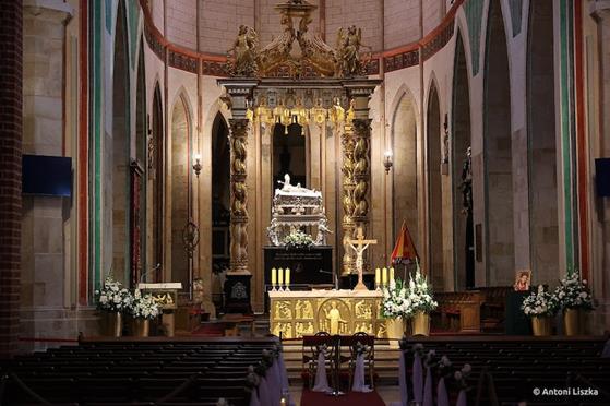 Pielgrzymka Jubileuszowa Gniezno_Poznań 20250067.jpg