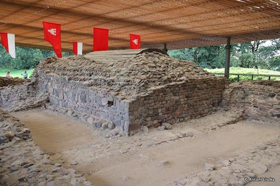 Pielgrzymka Jubileuszowa Gniezno_Poznań 20250112.jpg