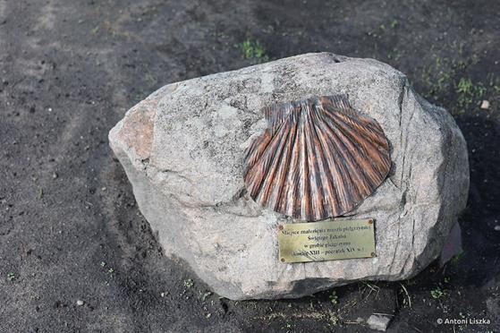 Pielgrzymka Jubileuszowa Gniezno_Poznań 20250116.jpg