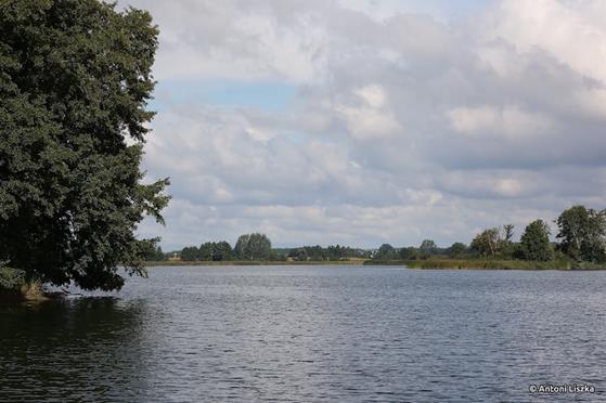 Pielgrzymka Jubileuszowa Gniezno_Poznań 20250120.jpg