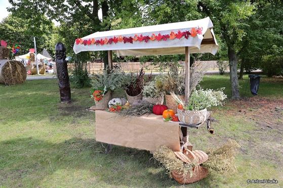 Pielgrzymka Jubileuszowa Gniezno_Poznań 20250125.jpg