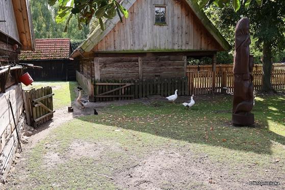 Pielgrzymka Jubileuszowa Gniezno_Poznań 20250126.jpg